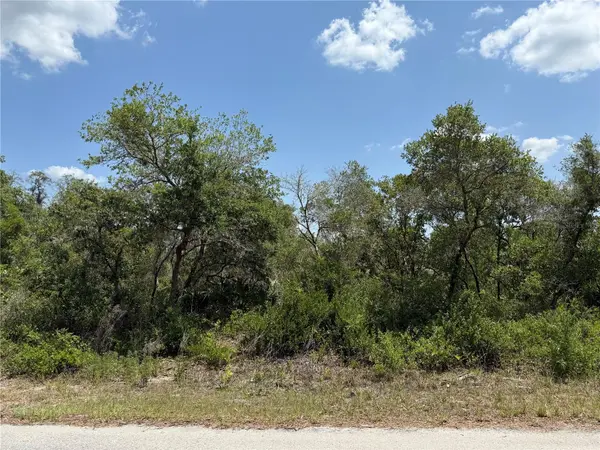 TBD FISHER LOOP #36, Ocklawaha, FL 32179