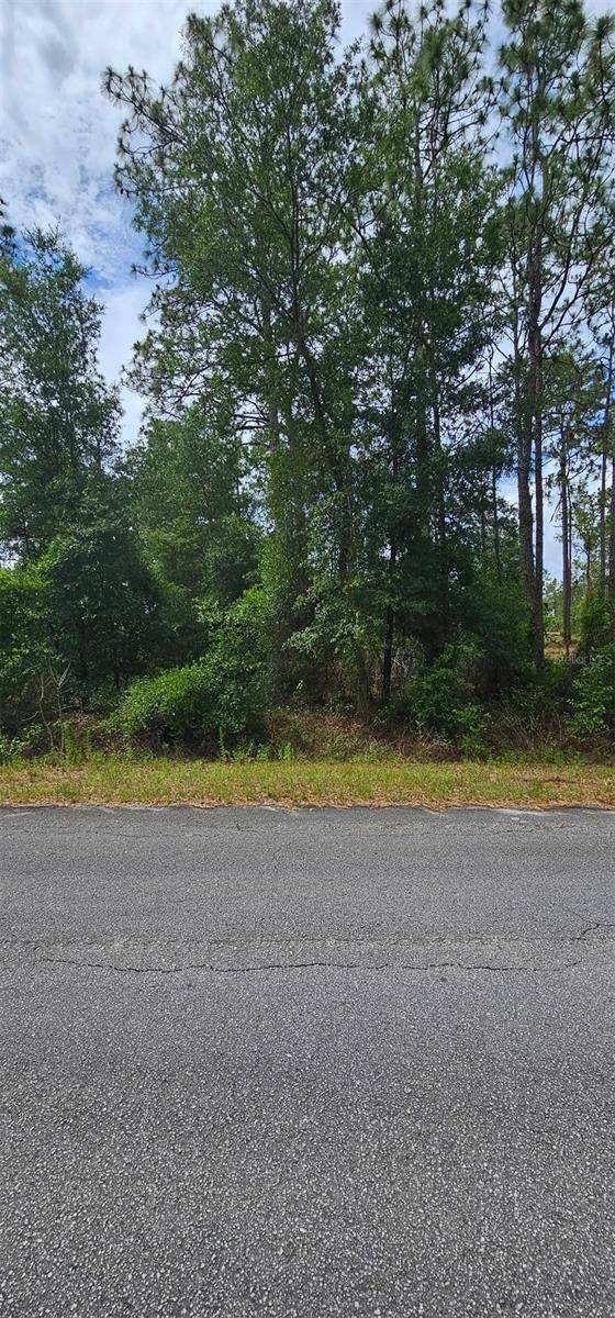 0 NW ASPEN LN, Dunnellon, FL 34431