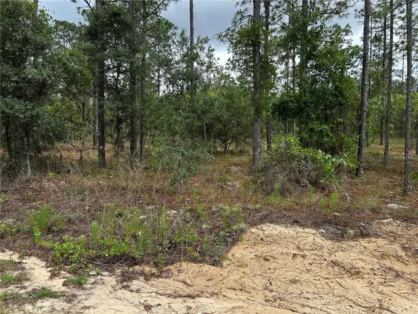 TBD NW FOXGLOVE LN, Dunnellon, FL 34431