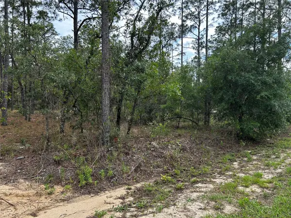 TBD NW FOXGLOVE LN, Dunnellon, FL 34431