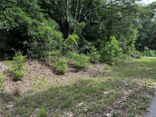 TBD UPLANDS AVE, Dunnellon, FL 34431