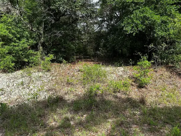 TBD UPLANDS AVE, Dunnellon, FL 34431