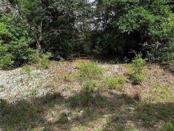 TBD UPLANDS AVE, Dunnellon, FL 34431