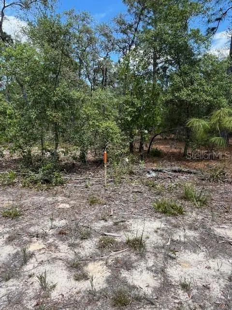 TBD SW 57TH AVE #46 & 47, Interlachen, FL 32148