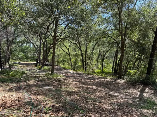 16137 SE 34TH PL, Ocklawaha, FL 32179