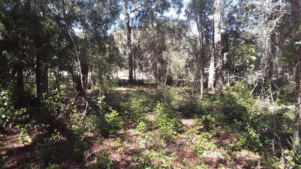 13231 BISSELL DR, Punta Gorda, FL 33955