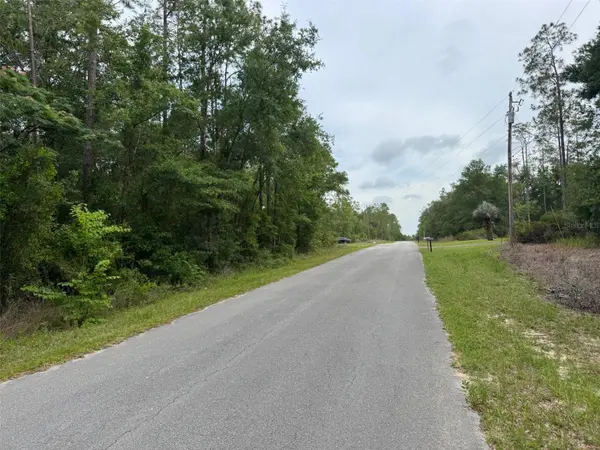 Lot 14 SW CHANEL HEIGHTS CT, Dunnellon, FL 34431