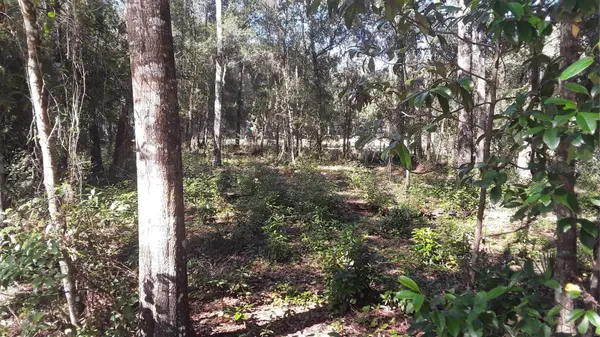 1408 SCRUB JAY ST, Lake Placid, FL 33852