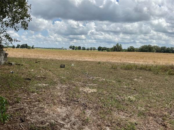 NE 46TH LN, Bronson, FL 32621