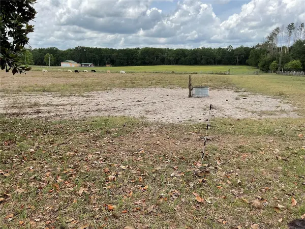 tbd NE 46TH LN, Bronson, FL 32621