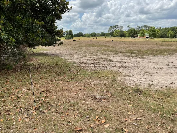tbd NE 46TH LN, Bronson, FL 32621