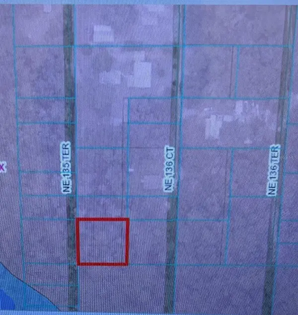 0 NE 135TH TER, Fort Mc Coy, FL 32134