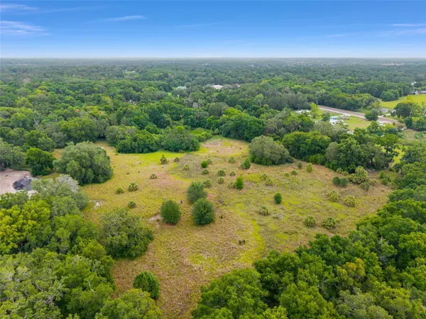 TBD S HIGHWAY 301, Summerfield, FL 34491