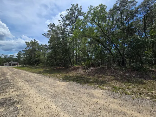 6468 N BAYLOR TER, Dunnellon, FL 34433
