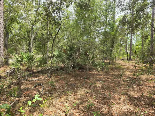 6468 N BAYLOR TER, Dunnellon, FL 34433