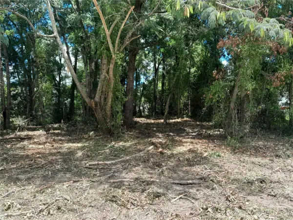 tbd NE 48TH ST, Williston, FL 32696