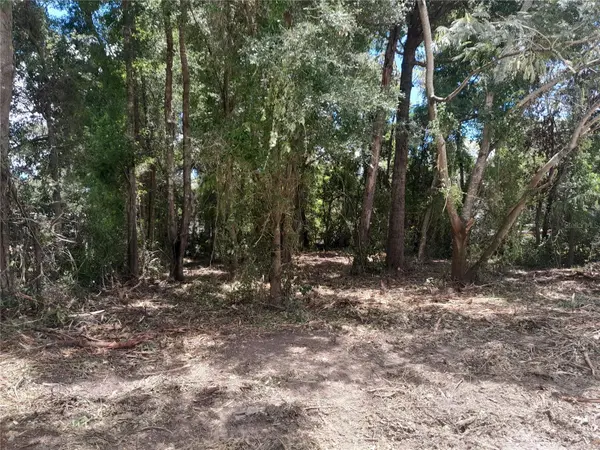 tbd NE 48TH ST, Williston, FL 32696