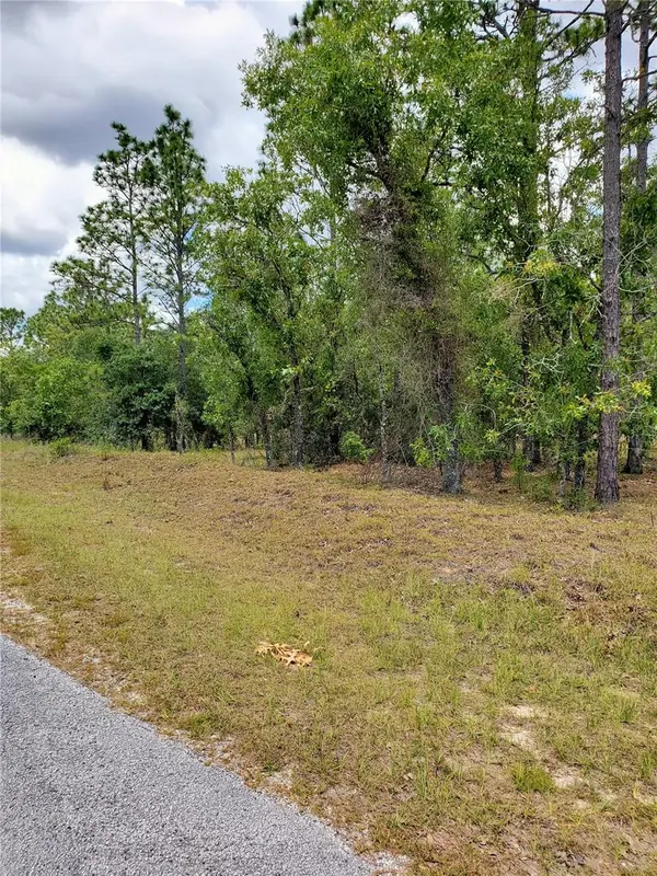PONY RIDGE DR, Dunnellon, FL 34431