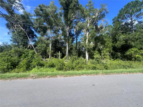 TBD LOCUST COURSE RADIAL LOT 20, Ocala, FL 34472