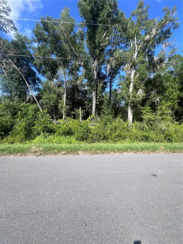TBD LOCUST COURSE RADIAL LOT 20, Ocala, FL 34472