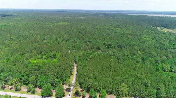 15305 NW HWY 320, Micanopy, FL 32667