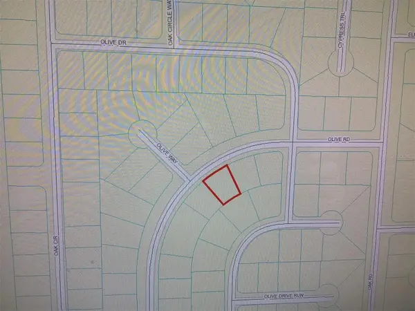 0 OLIVE RD, Ocala, FL 34473