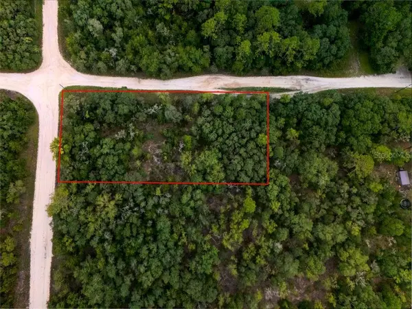 00 NE 110 AVE, Bronson, FL 32621