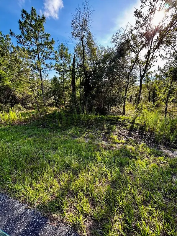 Lot 24 SE 136 TER, Dunnellon, FL 34431