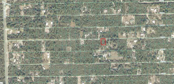 TBD NE 235TH ST, Fort Mc Coy, FL 32134
