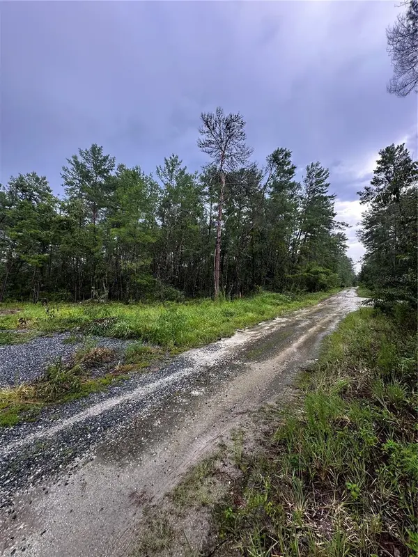 NE 112TH CT, Fort Mc Coy, FL 32134
