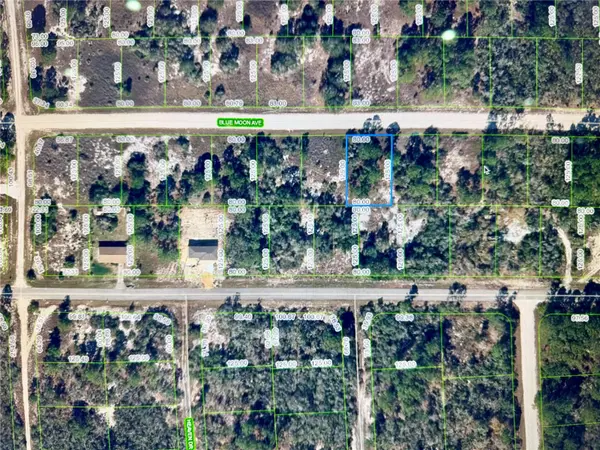 329 BLUE MOON AVE, Lake Placid, FL 33852