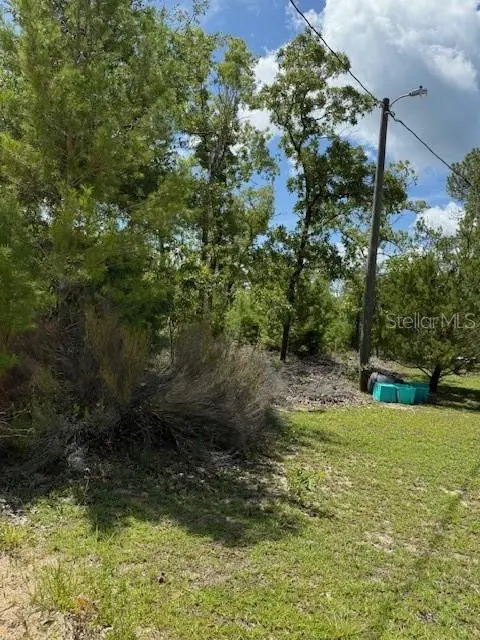 115 S DAKOTA ST, Hawthorne, FL 32640