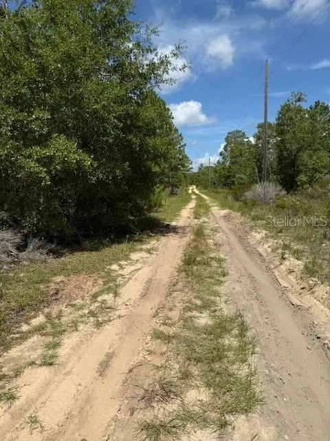 113 S DAKOTA ST, Hawthorne, FL 32640
