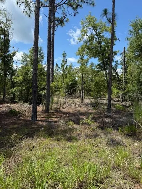 111 S DAKOTA ST, Hawthorne, FL 32640
