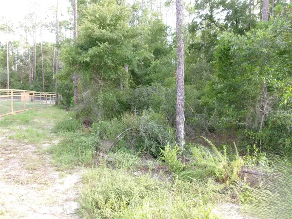LOT 20 SW RAINBOW LAKES BLVD, Dunnellon, FL 34431