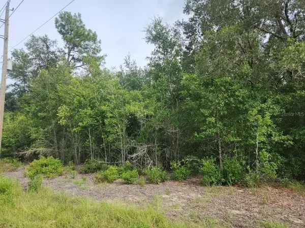 Lot 13 SW RAINBOW LAKES BLVD, Dunnellon, FL 34431