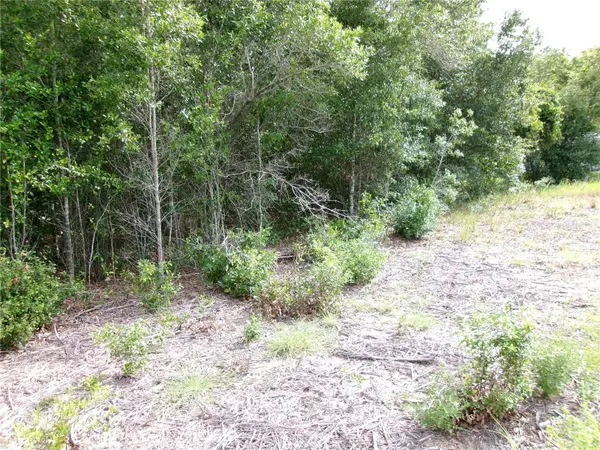 Lot 13 SW RAINBOW LAKES BLVD, Dunnellon, FL 34431