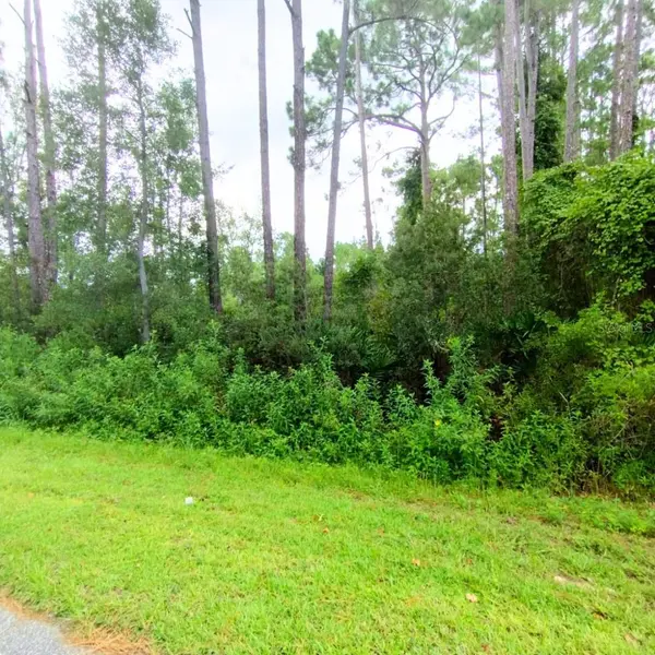 116 WAYBURN ST, Georgetown, FL 32139