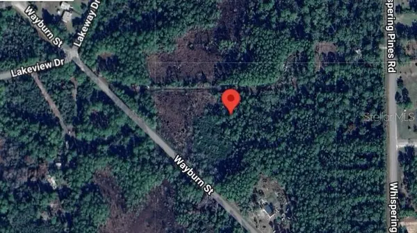 116 WAYBURN ST, Georgetown, FL 32139