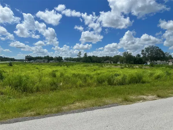 0 HWY 441, Summerfield, FL 34492