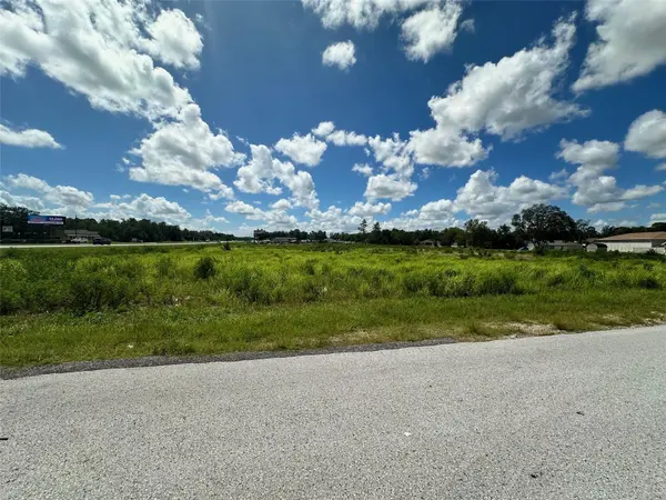 0 HWY 441, Summerfield, FL 34492