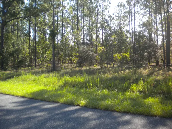 LOT14 SE 136 TH TER, Dunnellon, FL 34431