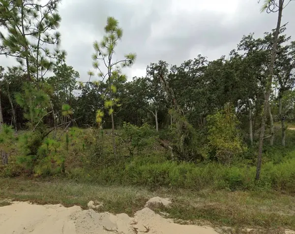 TBD SE 148 AVE, Williston, FL 32696