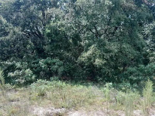 SE 108TH TER, Morriston, FL 32668