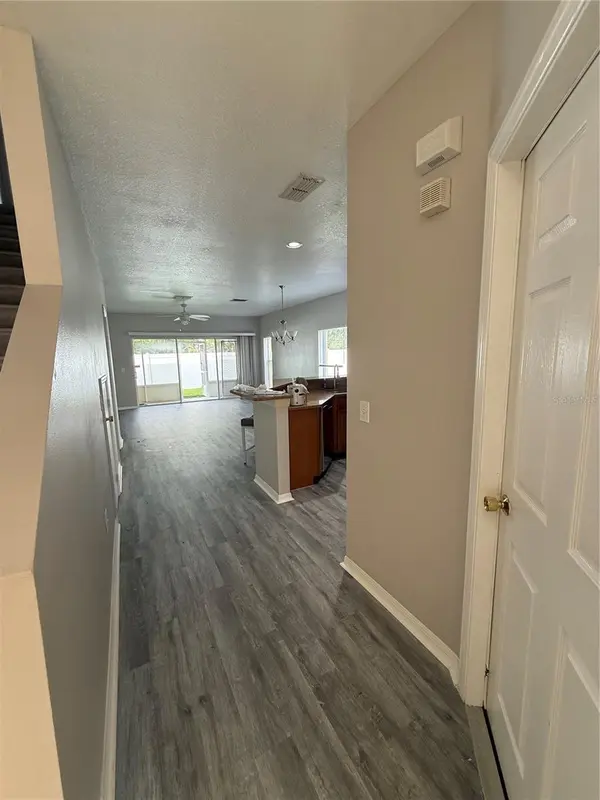 20460 NEEDLETREE DR, Tampa, FL 33647