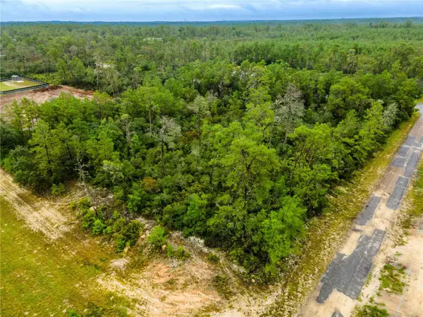 8109 N WAYSIDE AVE, Dunnellon, FL 34433