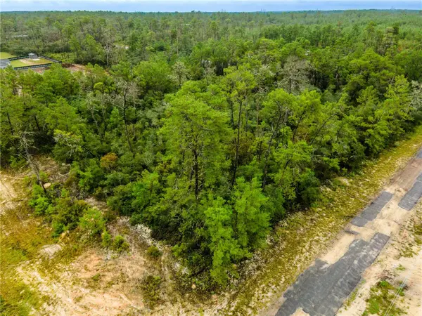 8109 N WAYSIDE AVE, Dunnellon, FL 34433