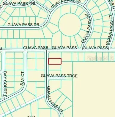 GUAVA PASS LN, Ocklawaha, FL 32179