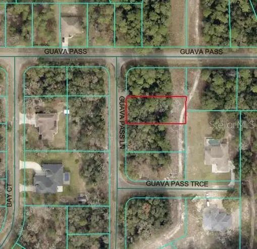 GUAVA PASS LN,  Ocklawaha,  FL 32179