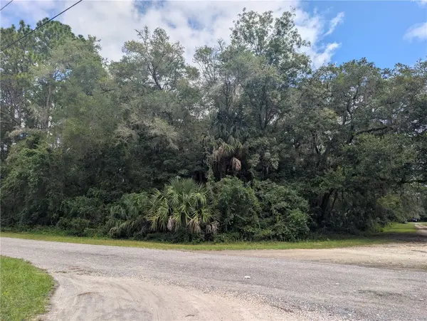 2259 W WILDFLOWER CT, Dunnellon, FL 34434